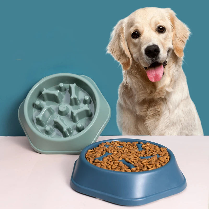 Pet Slow Feeder Bowl – Anti-Choking & Anti-Gulping