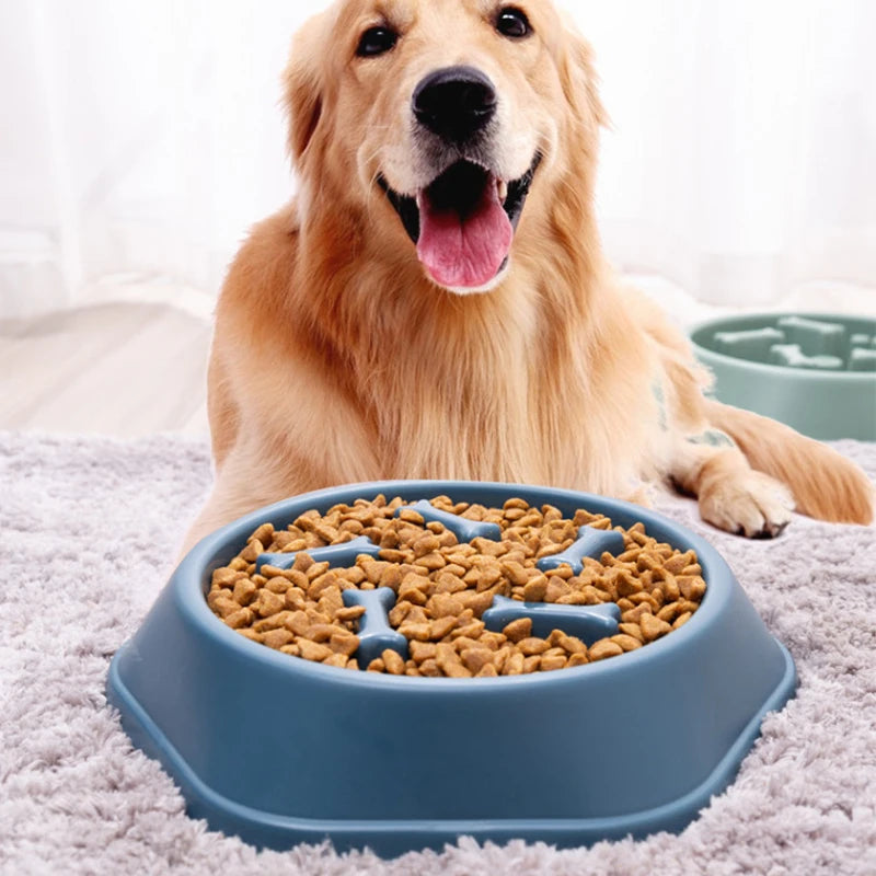 Pet Slow Feeder Bowl – Anti-Choking & Anti-Gulping