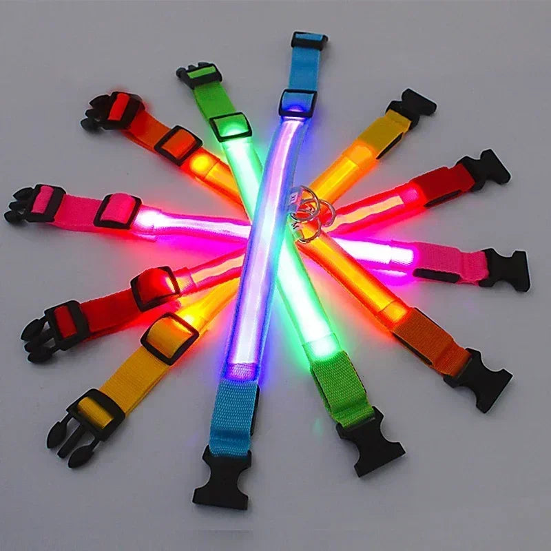 LED Dog Collar – Adjustable, Rechargeable & Reflective