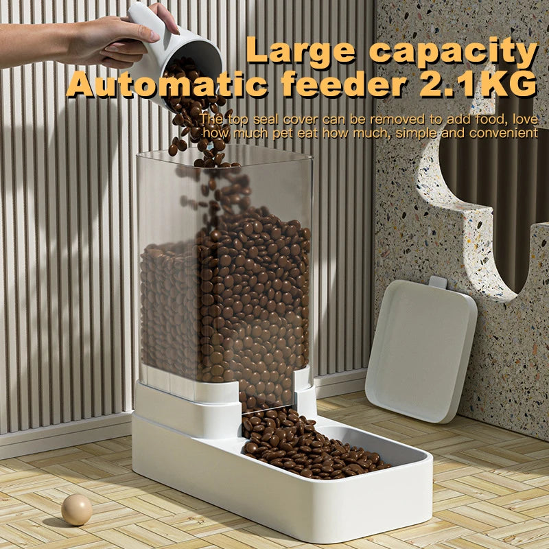 2 in 1 Automatic Cat Feeder