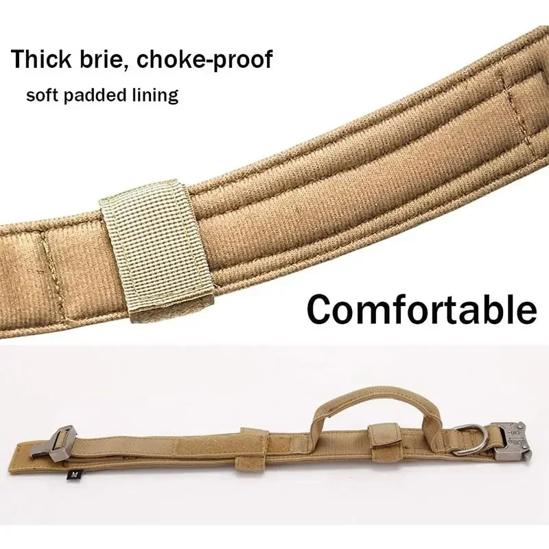 Dog Collar – Durable for Medium and Large Breeds