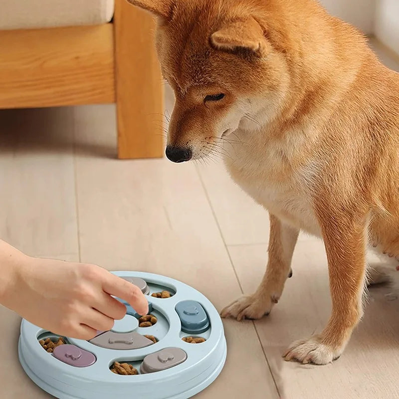 Interactive Dog Slow Feeder Bowl – Training & Anti-Boredom Toy