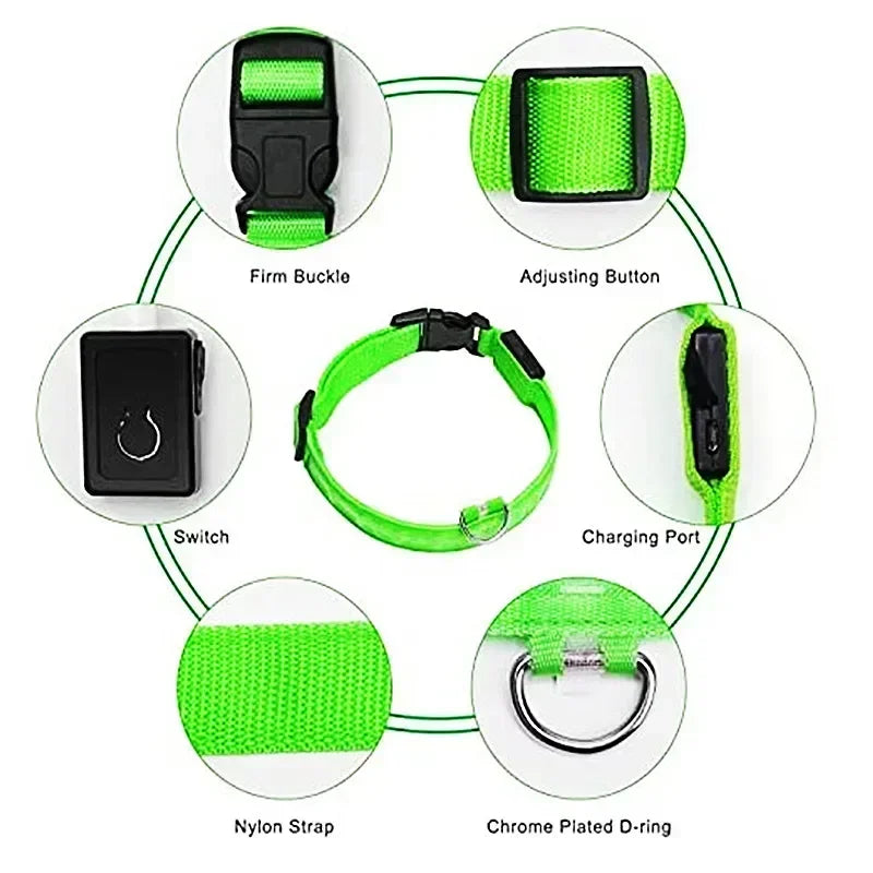 LED Dog Collar – Adjustable, Rechargeable & Reflective