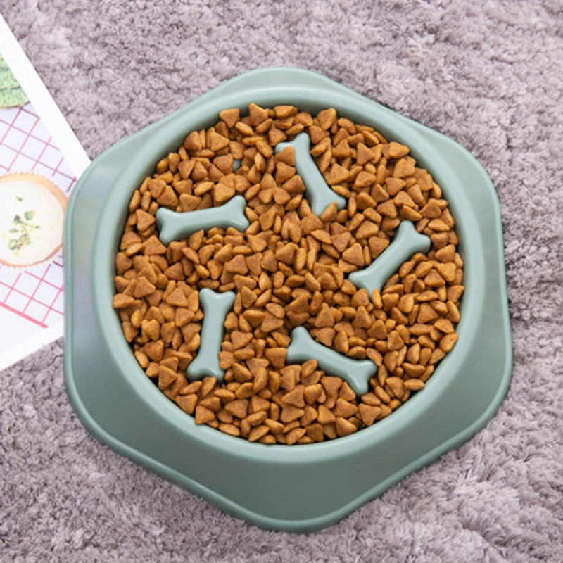 Pet Slow Feeder Bowl – Anti-Choking & Anti-Gulping
