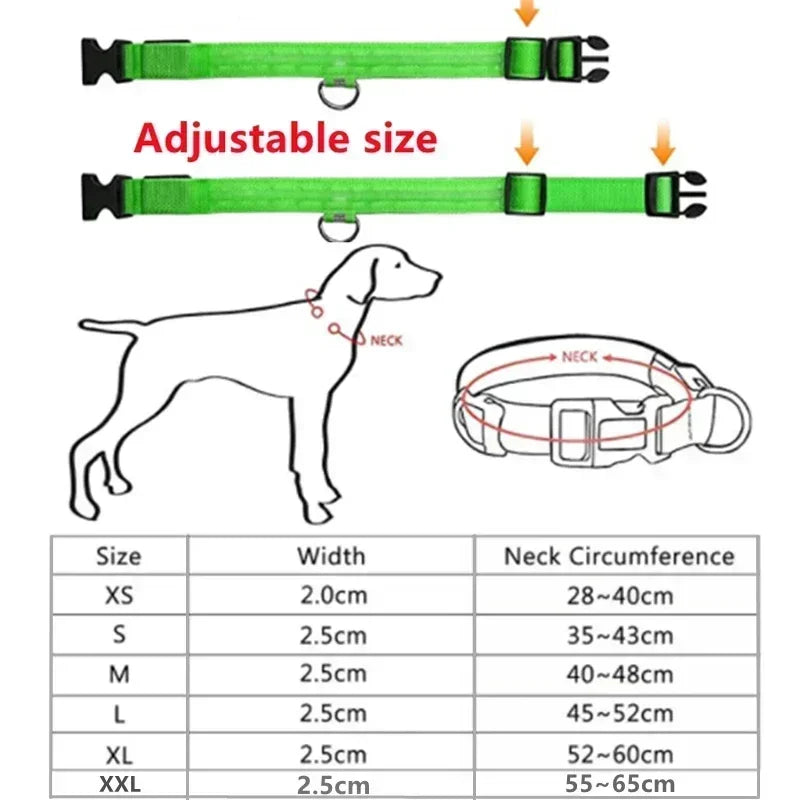 LED Dog Collar – Adjustable, Rechargeable & Reflective