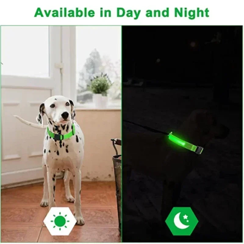 LED Dog Collar – Adjustable, Rechargeable & Reflective