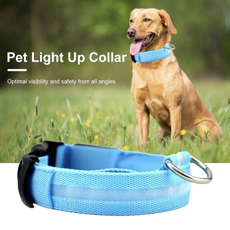 LED Dog Collar – Adjustable, Rechargeable & Reflective