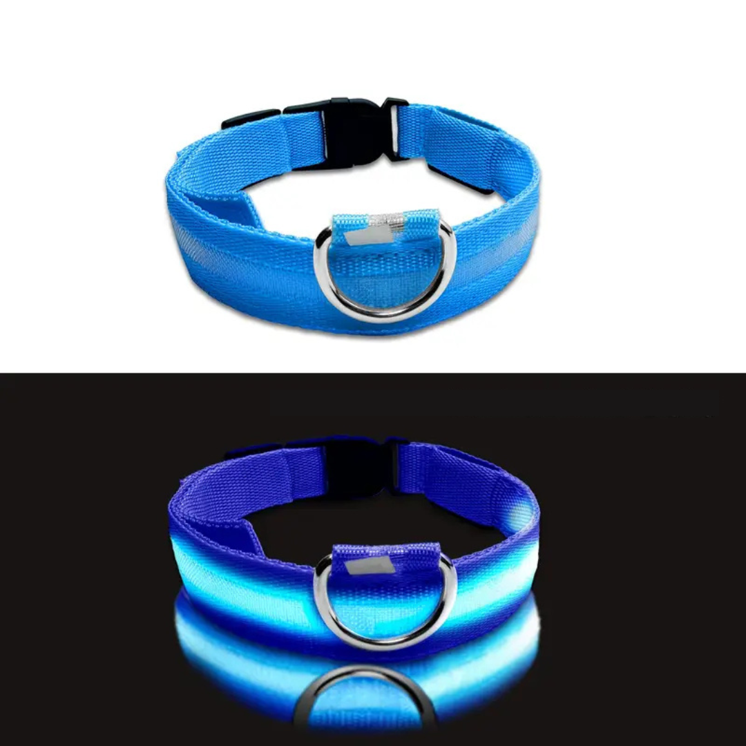 LED Dog Collar – Adjustable, Rechargeable & Reflective