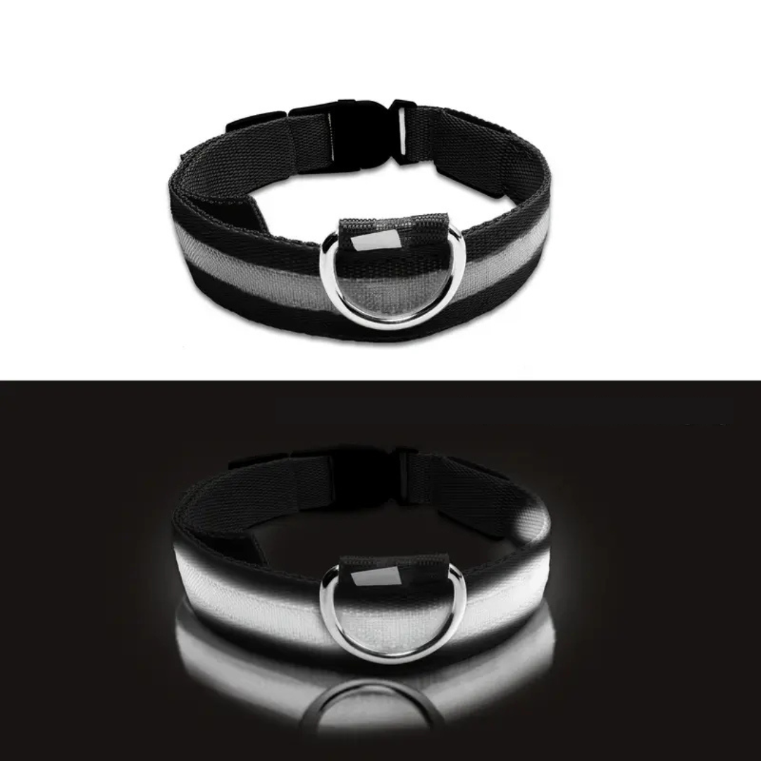 LED Dog Collar – Adjustable, Rechargeable & Reflective
