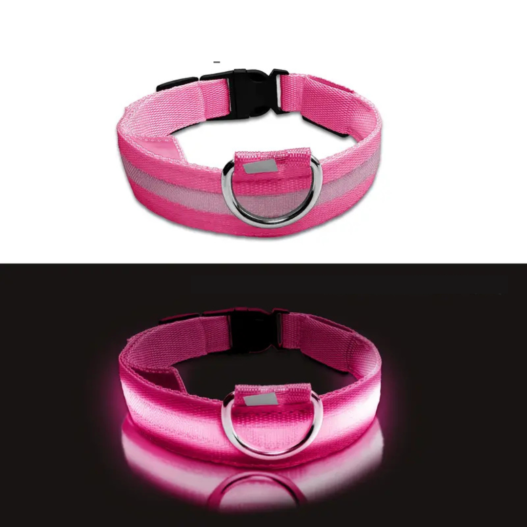 LED Dog Collar – Adjustable, Rechargeable & Reflective