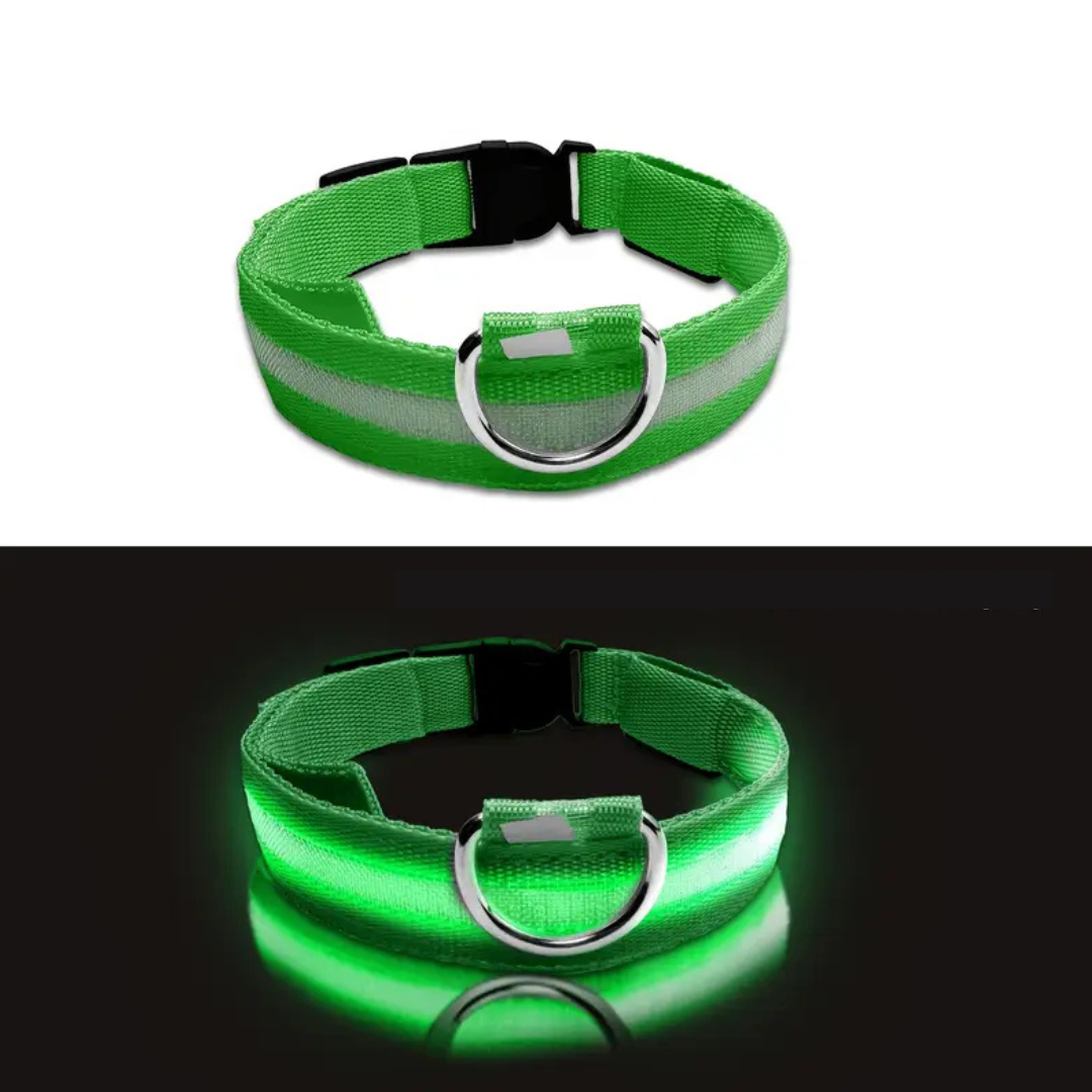 LED Dog Collar – Adjustable, Rechargeable & Reflective