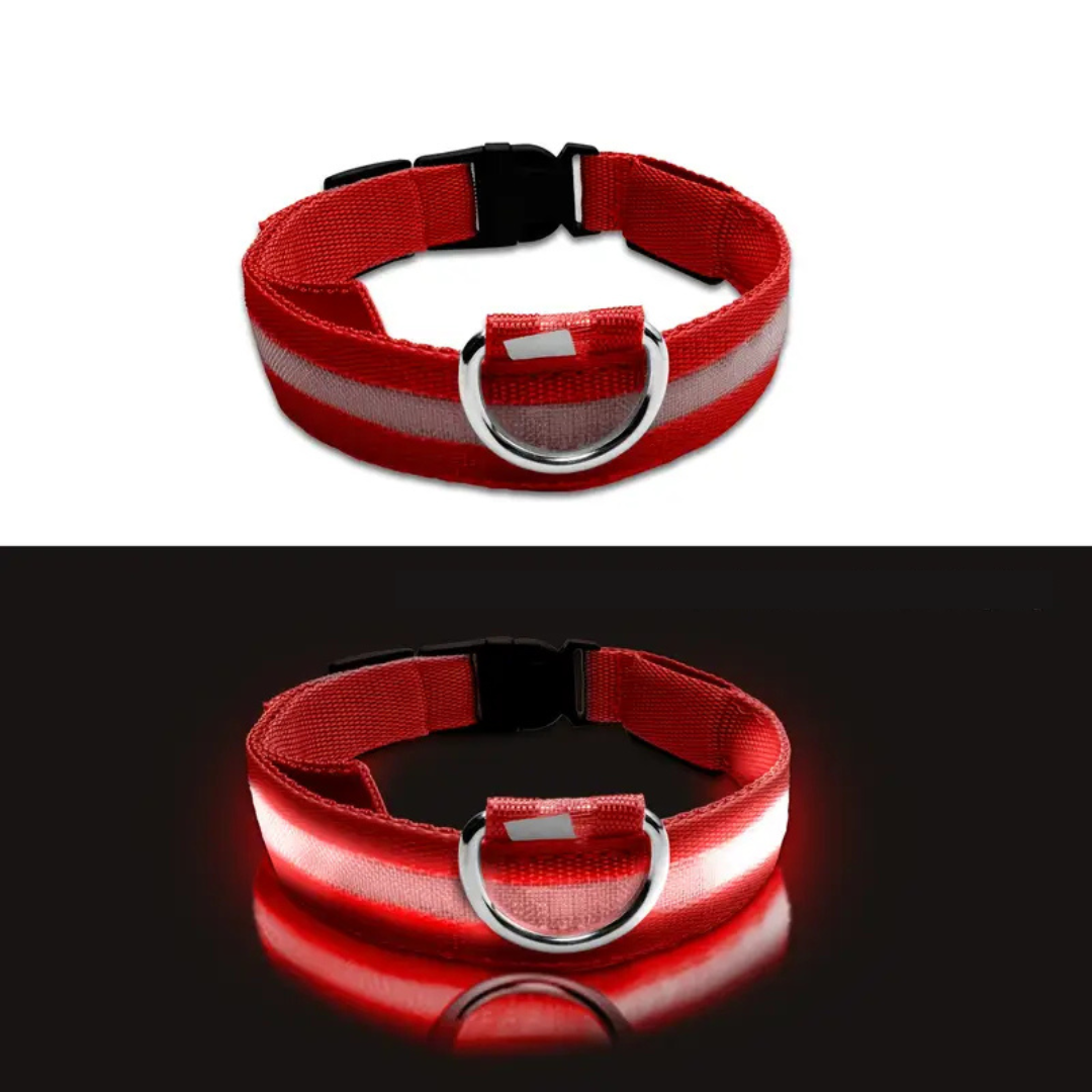 LED Dog Collar – Adjustable, Rechargeable & Reflective