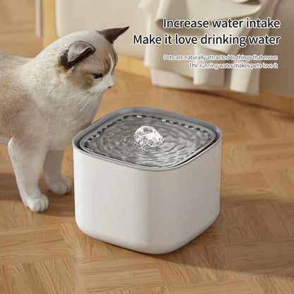 Filtered Pet Drinking Fountain 3L – Fresh Water
