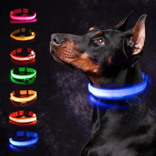 LED Dog Collar – Adjustable, Rechargeable & Reflective