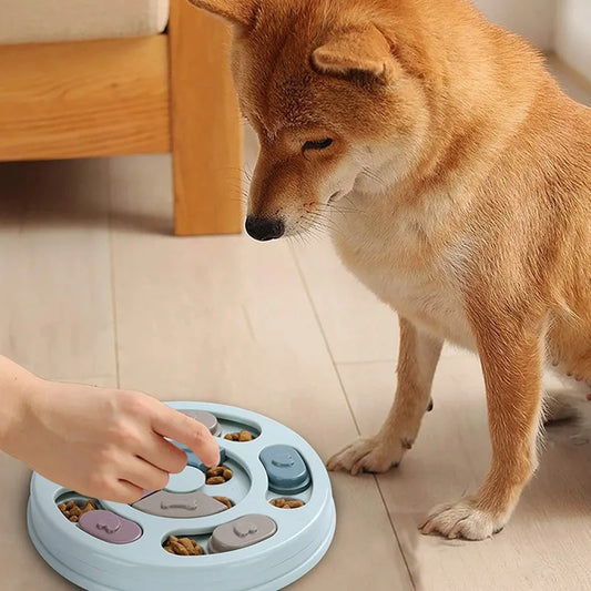 Interactive Dog Slow Feeder Bowl – Training & Anti-Boredom Toy