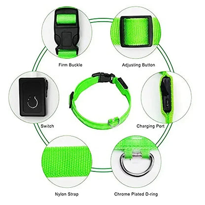 LED Dog Collar – Adjustable, Rechargeable & Reflective