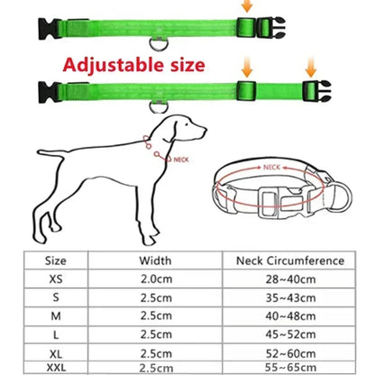 LED Dog Collar – Adjustable, Rechargeable & Reflective