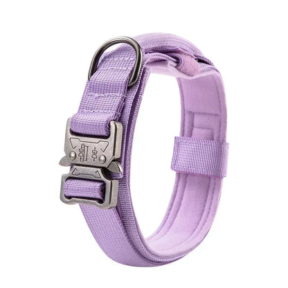 Dog Collar – Durable for Medium and Large Breeds