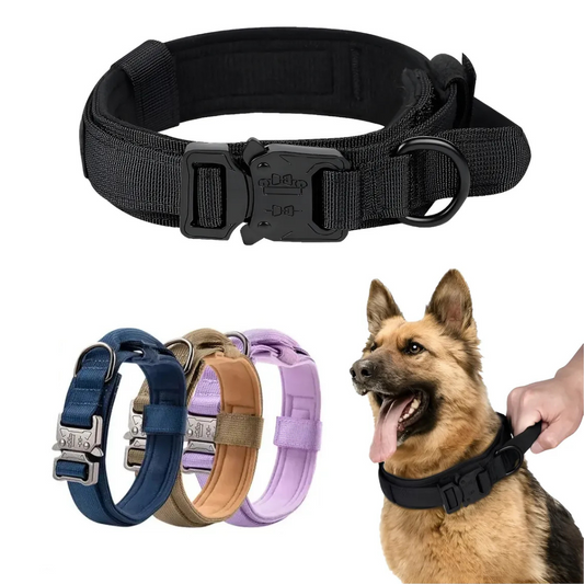 Dog Collar – Durable for Medium and Large Breeds