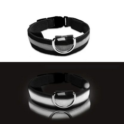 LED Dog Collar – Adjustable, Rechargeable & Reflective