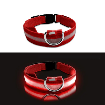 LED Dog Collar – Adjustable, Rechargeable & Reflective